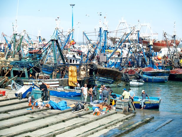 Port of essaouira II by fulgenci