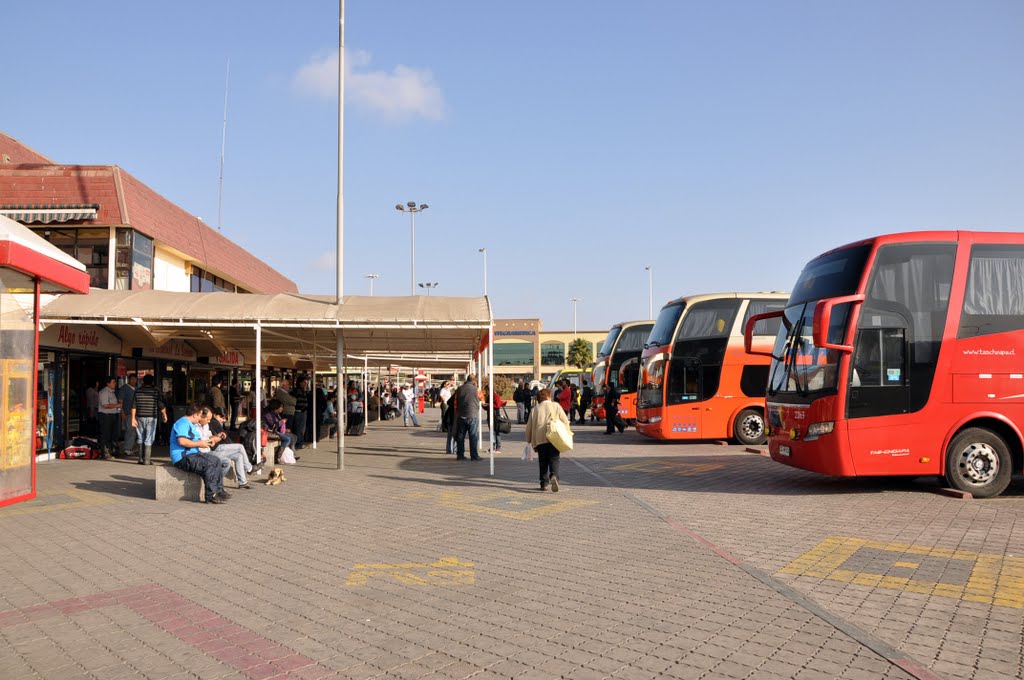 Terminal de Buses de la Serena by Jorge Pineda