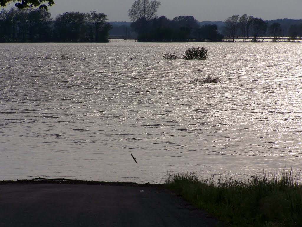 Saline County...The Roadway In The Distance Is Four Miles Away...A Lot Of Farm Land Under Water......(1622394350) by 1622394350