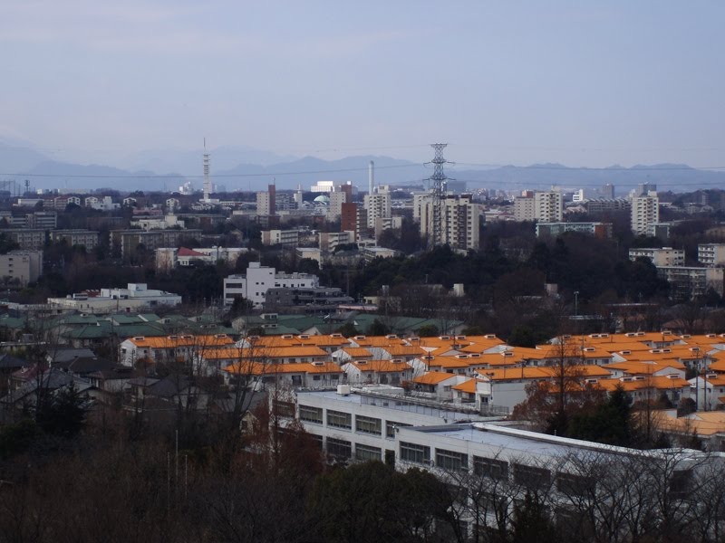 View from "YOKOYAMA no MICHI" by Kiyochan