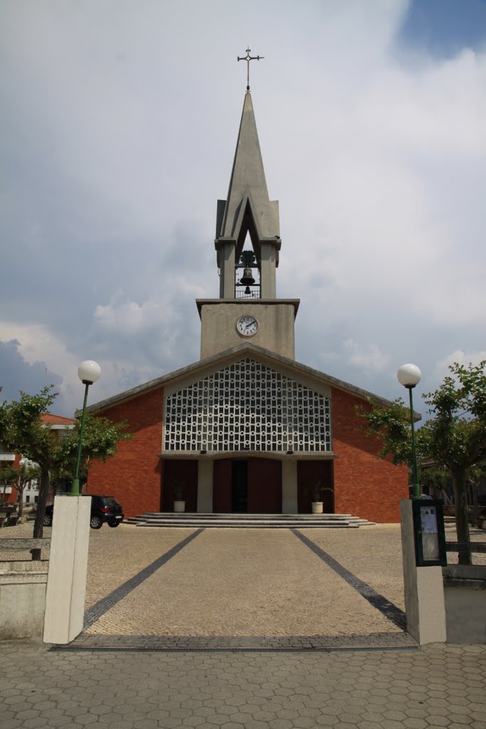 Igreja de S. Pedro da Palhaça - Oliveira do Bairro by João Paulo Coutinho