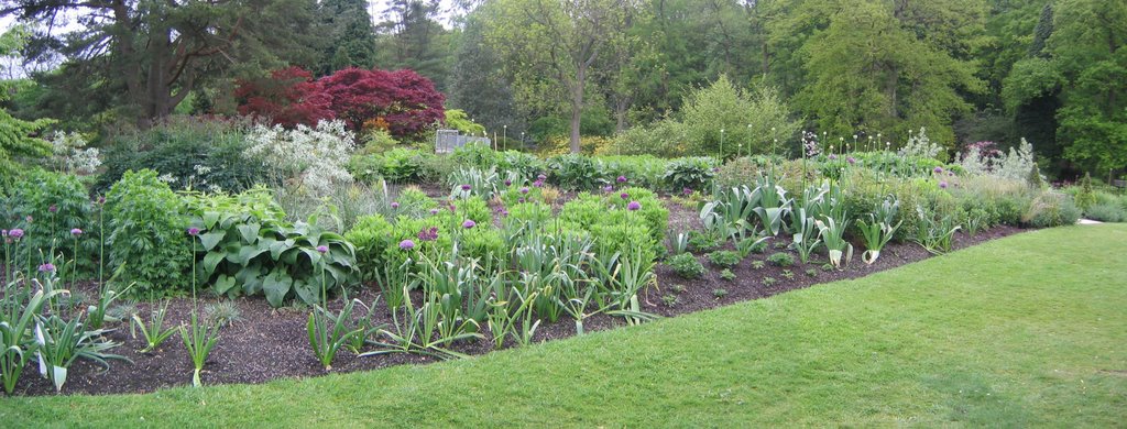 Main Borders Late Spring by Lesley Rigby