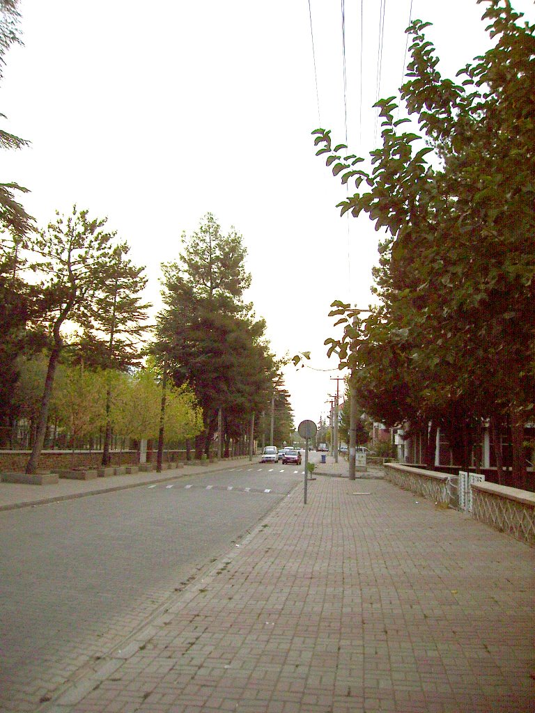 CUMHURİYET CADDESİ   [(İzmir Caddesi)] by Ercüment ÇALI