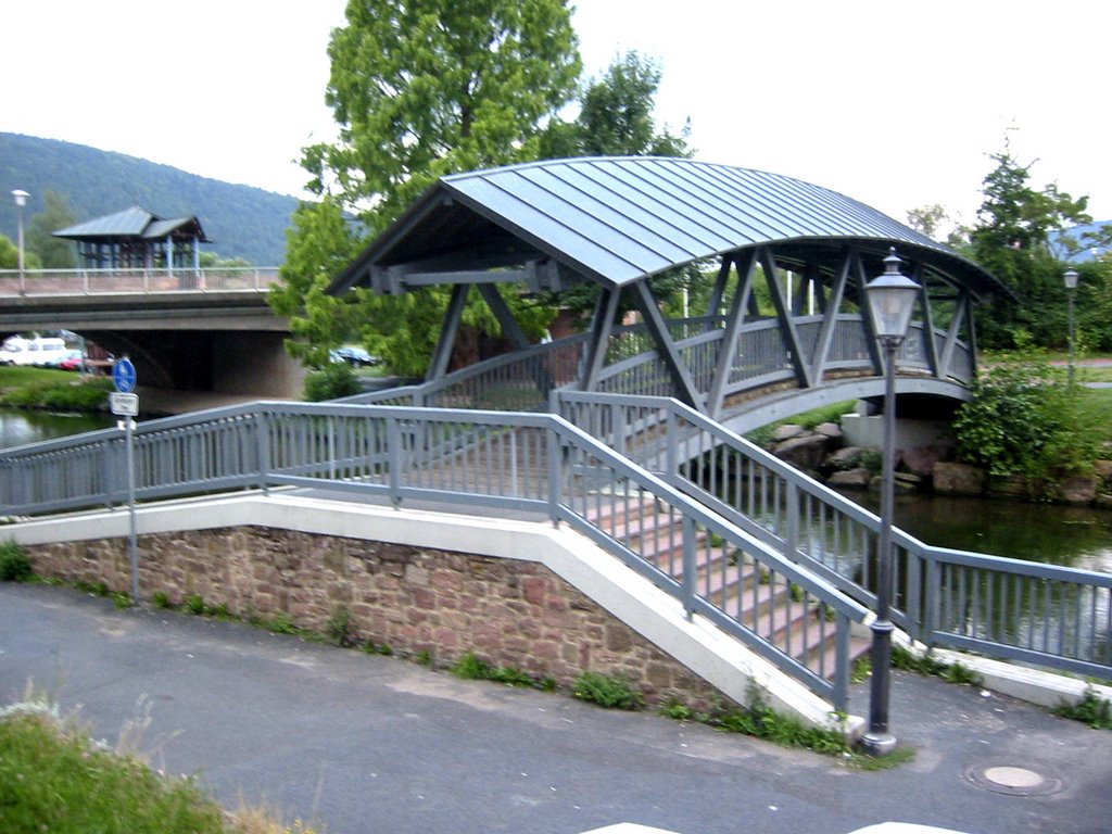 Gemünden ved Saalebrücke park by Eigil Wollesen