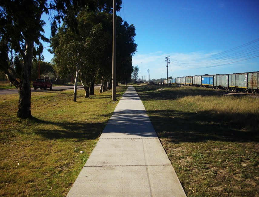 Bicisenda y vagones en Paseo R. Obligado, Grünbein by Daksen