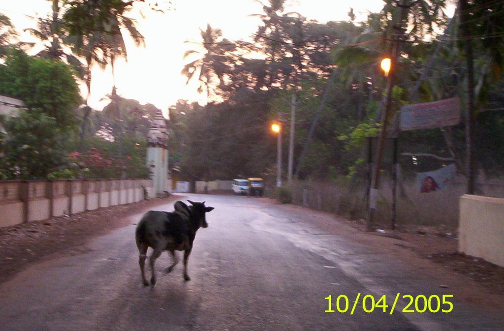 Candolim, Goa, India by l.willsdon@btinterne…