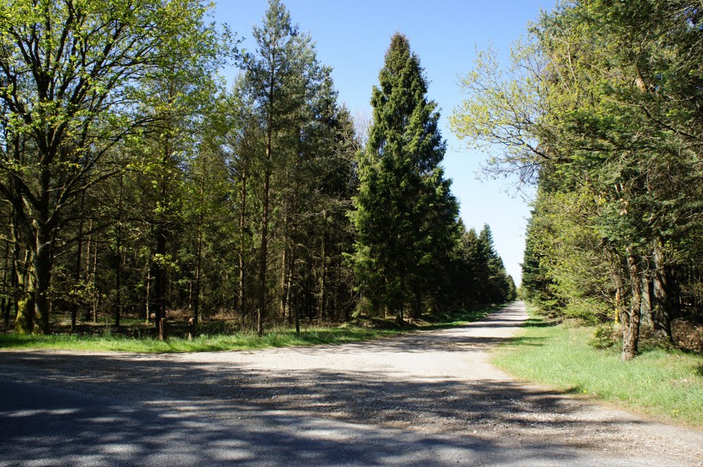 Langs dansk- tysk grænse, 8. maj 2011 by papkassen