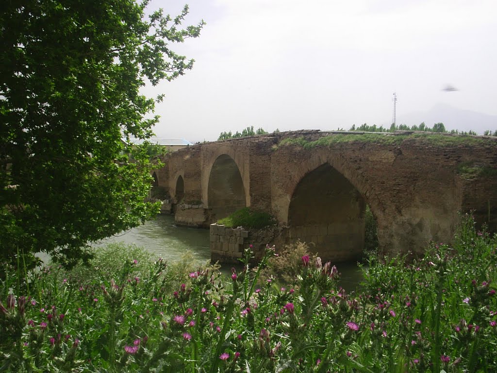 Old Bridge by mohamad reza zarini