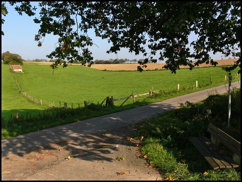 Blick auf die Wiesen by merli