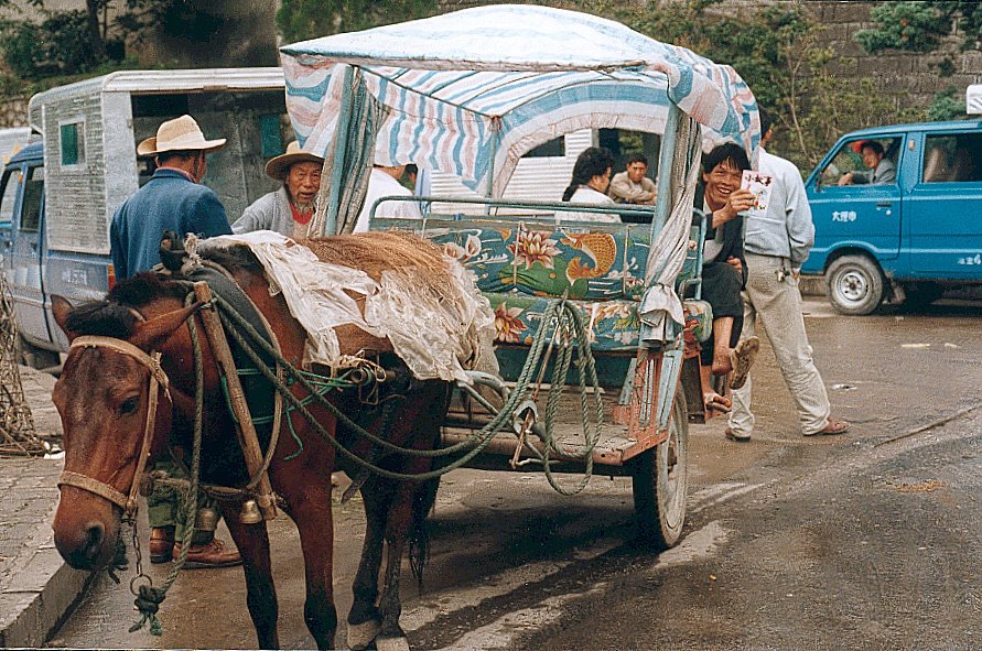 Horse taxi, Dali, China by Geir_O