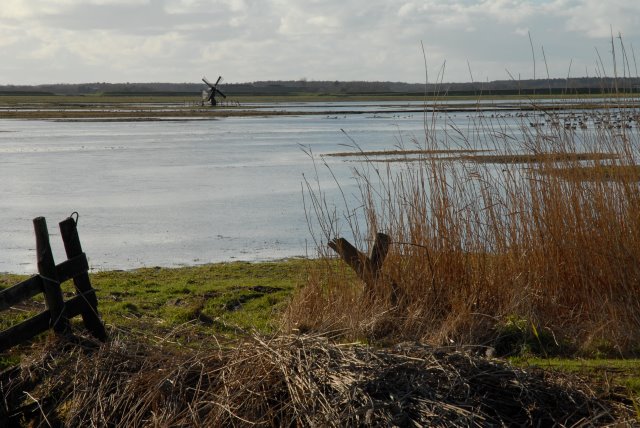 Polder Waal en Burg by Salko de Wolf