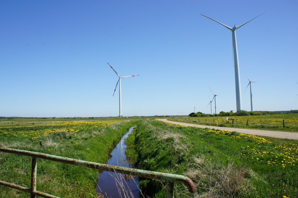 Langs dansk- tysk grænse, 8. maj 2011 by papkassen