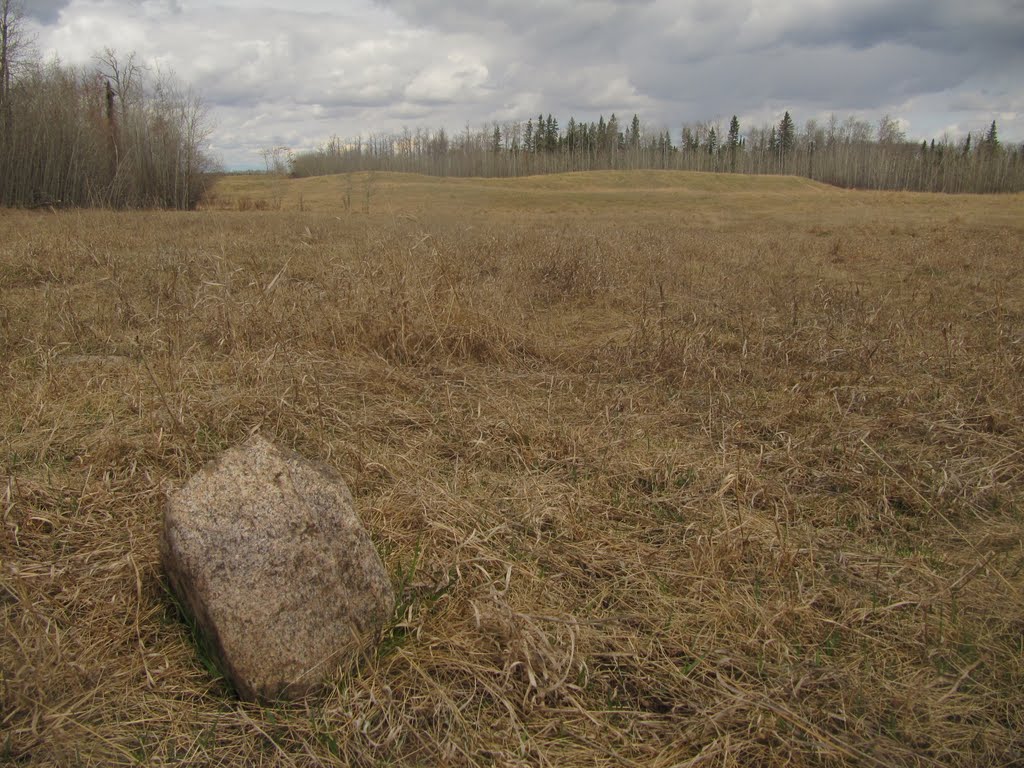 A Lone Boulder In Open, Golden Prairie, Blackfoot Recreation Area, East of Edmonton May '11 by David Cure-Hryciuk