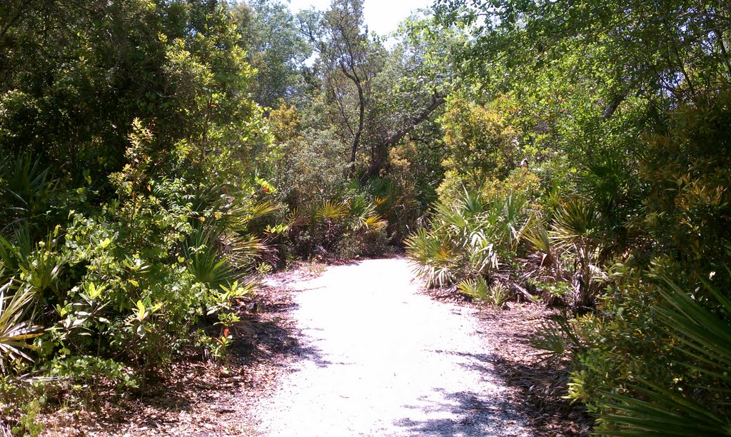 Black Hammock Preserve May 2011 by Erik Mayer