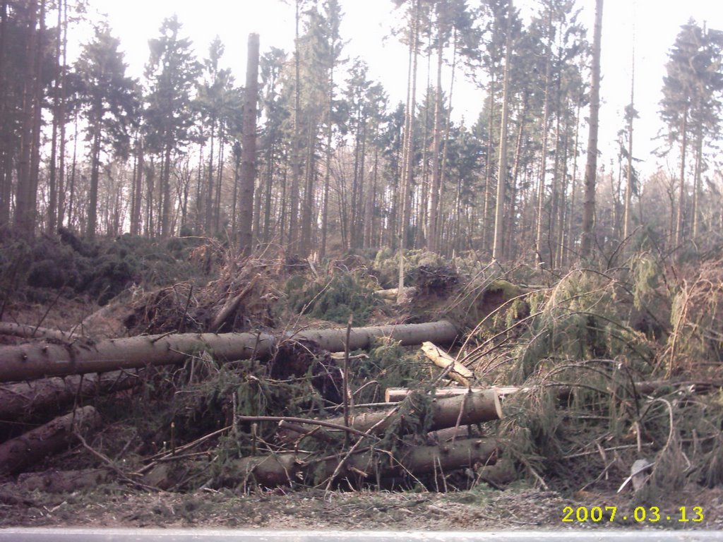 H©) März 2007/ Granatstraße, Hohe Mark - Nach Kyrill by Hannes Th.