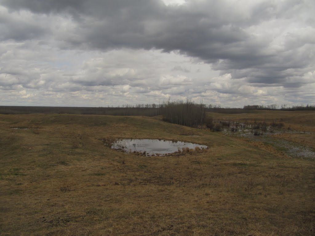 Prairie Ponds And Grasslands Under Moody Spring Skies In Blackfoot Recreation Area East of Edmonton May '11 by David Cure-Hryciuk