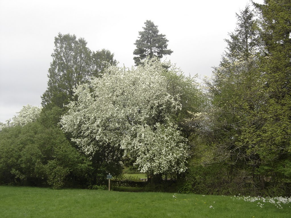 Moose Hill Farm in Early May by chris1073