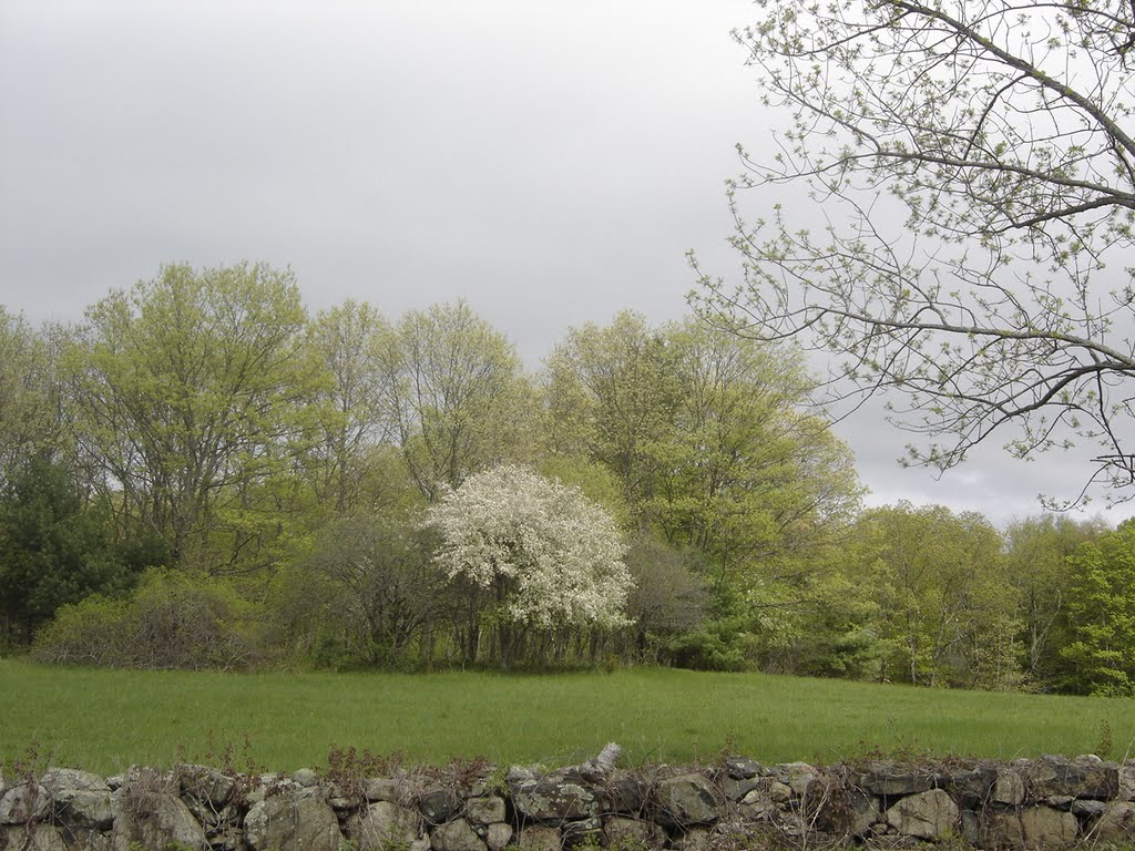 Moose Hill Farm in Early May by chris1073