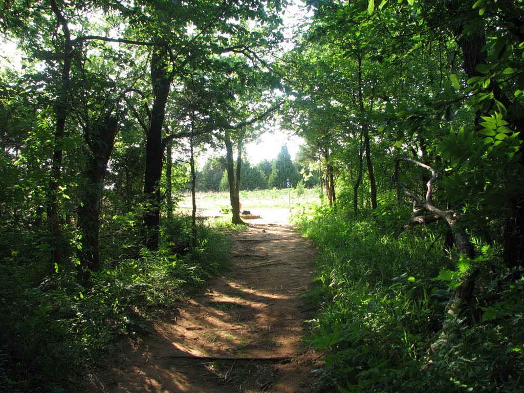 Mitch Park Disk Golf # 8 approach by robawalker