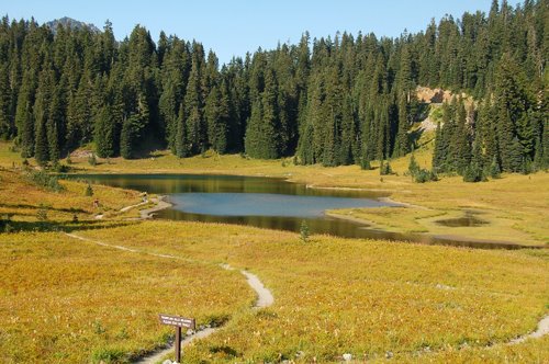 Der Tipsoo Lake am Chinook Pass by Dieter Pohlen