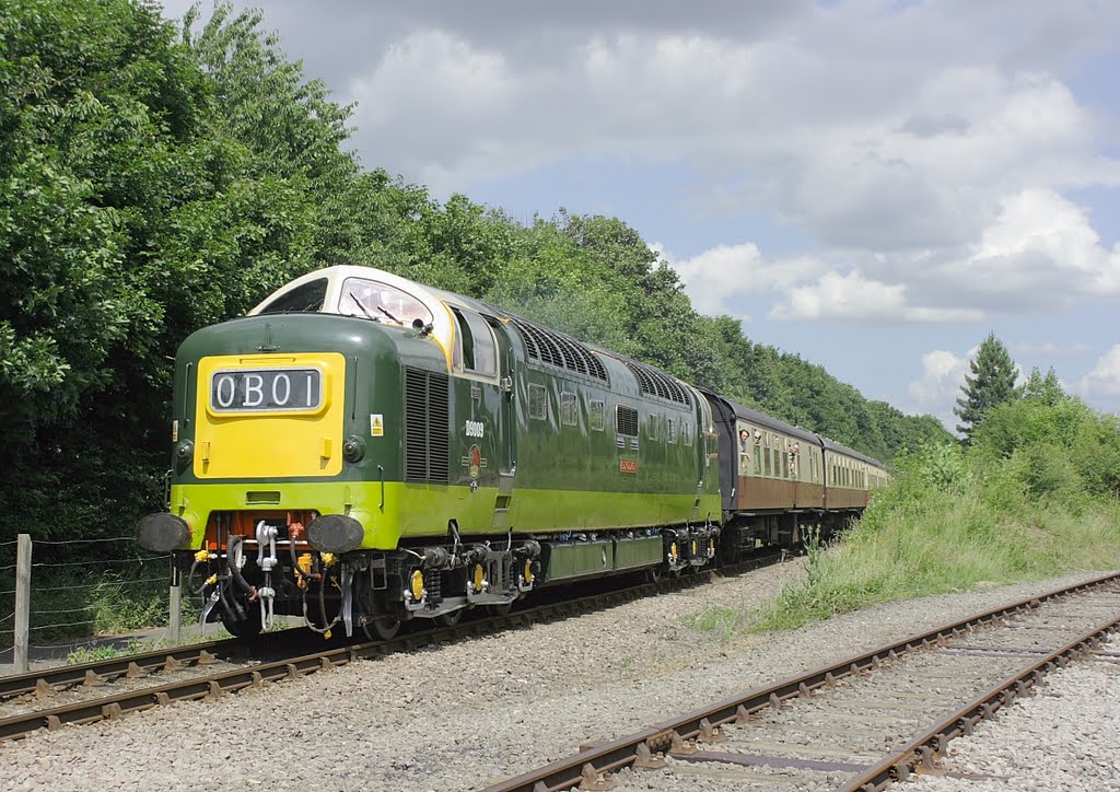 D9009 passes Longueville Junction on the Nene Valley Railway working a Peterborough - Wansford service in 2009 by Stephen Bersey