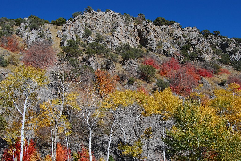 Autumn. Fish Creek Range, SE Idaho by Ralph Maughan