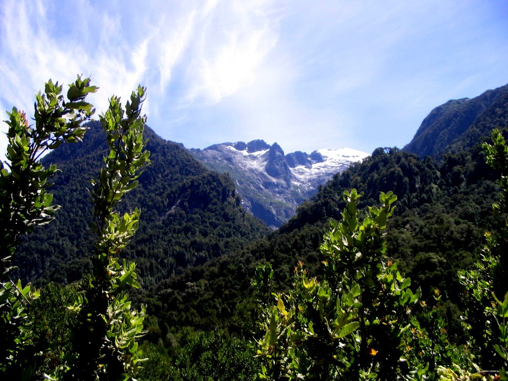 Vista desde lago Chapo, Chile. by Patricia Santini