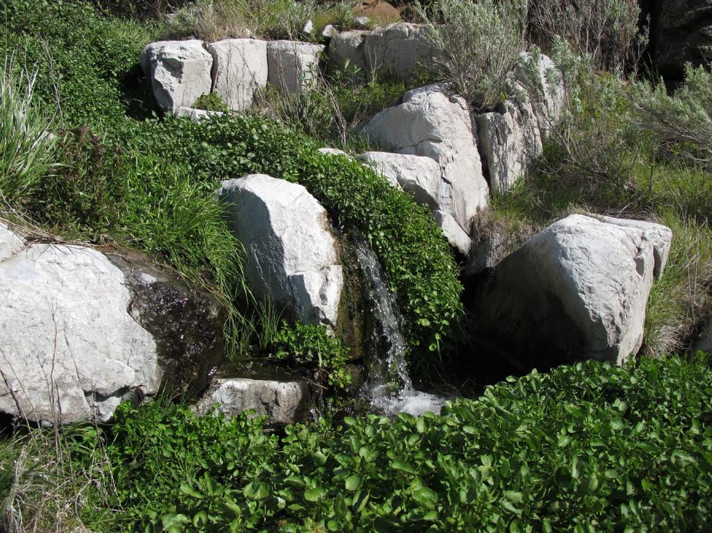 Small Ferry Springs waterfall at trail crossing by Curious Gorge Guidebook