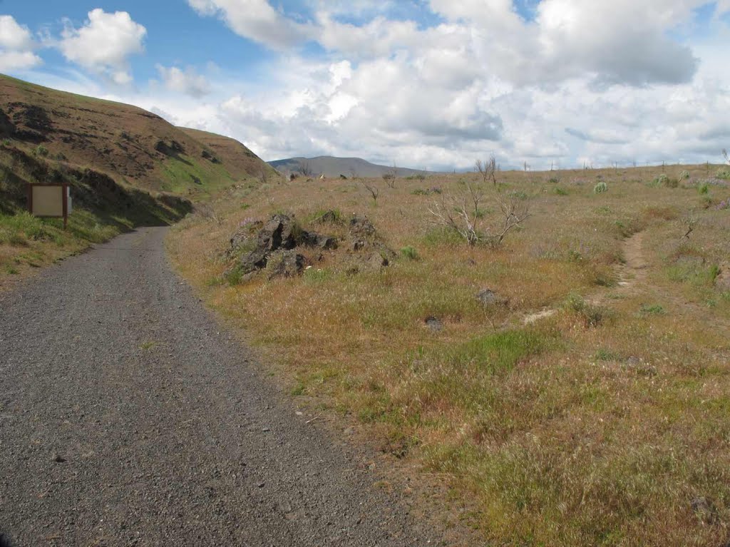 Unsigned junction of lower trails, the RR grade trail, and the upper Ferry Springs trail by Curious Gorge Guidebook