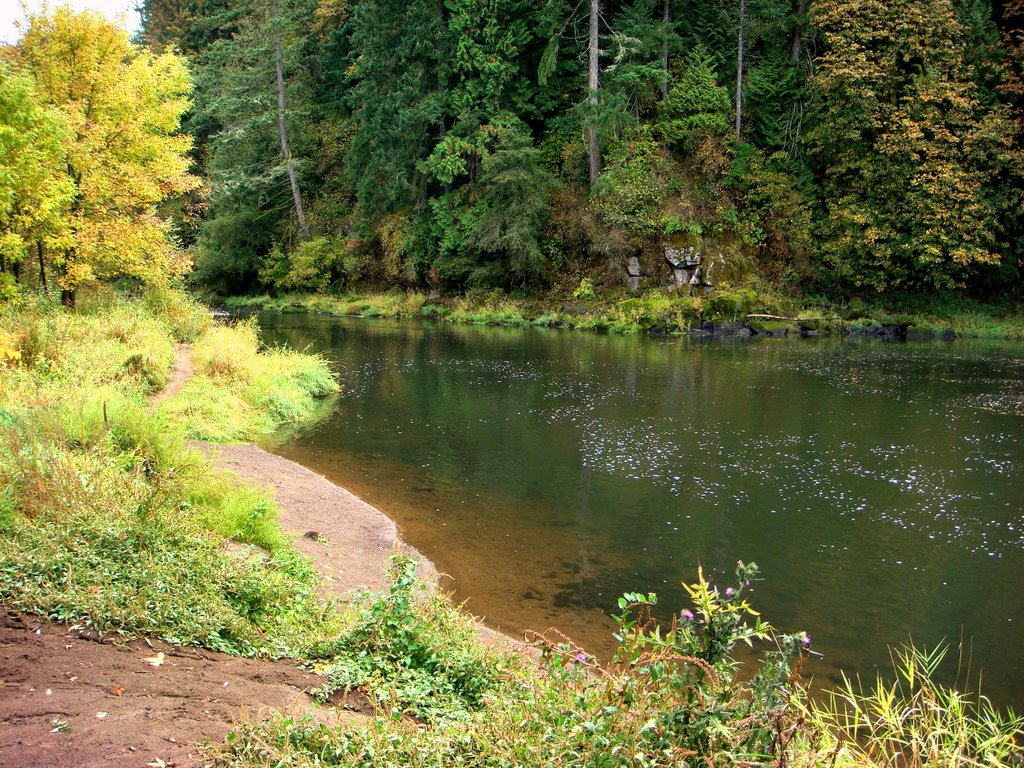 Calm & peaceful - Tualatin River 2007 by DeEtte Fisher