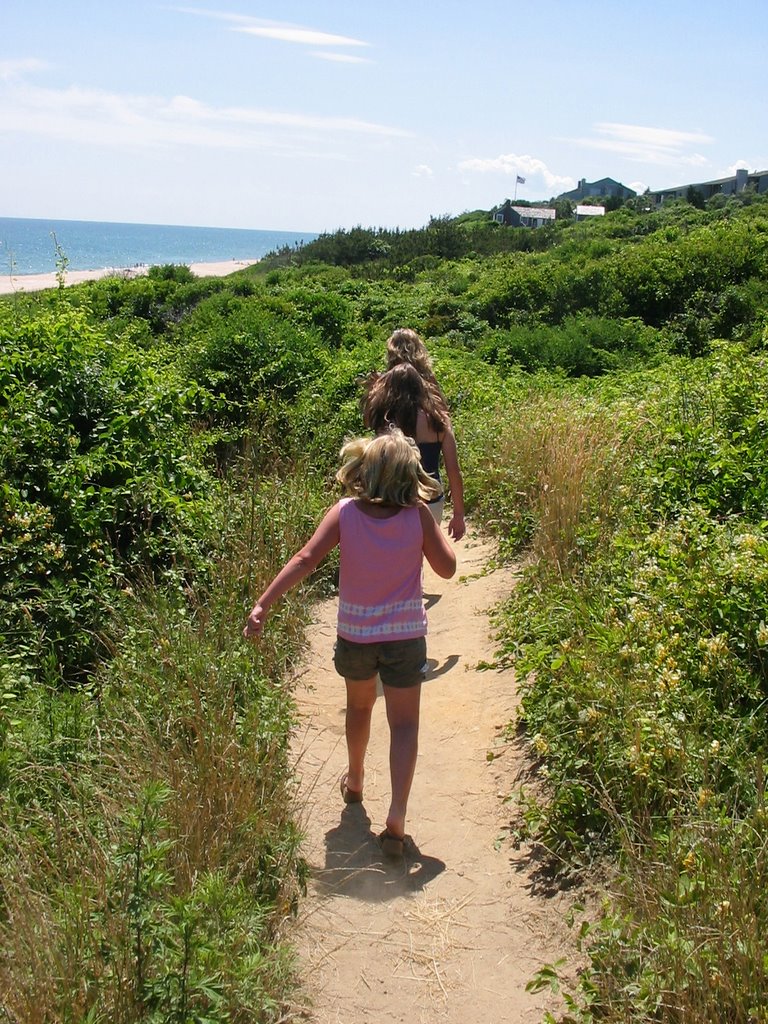 Overlook Beach by lisa.blues