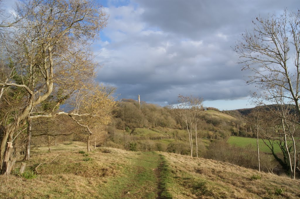 Looking towards Windmill Hill and The Hood Monument by Pam G