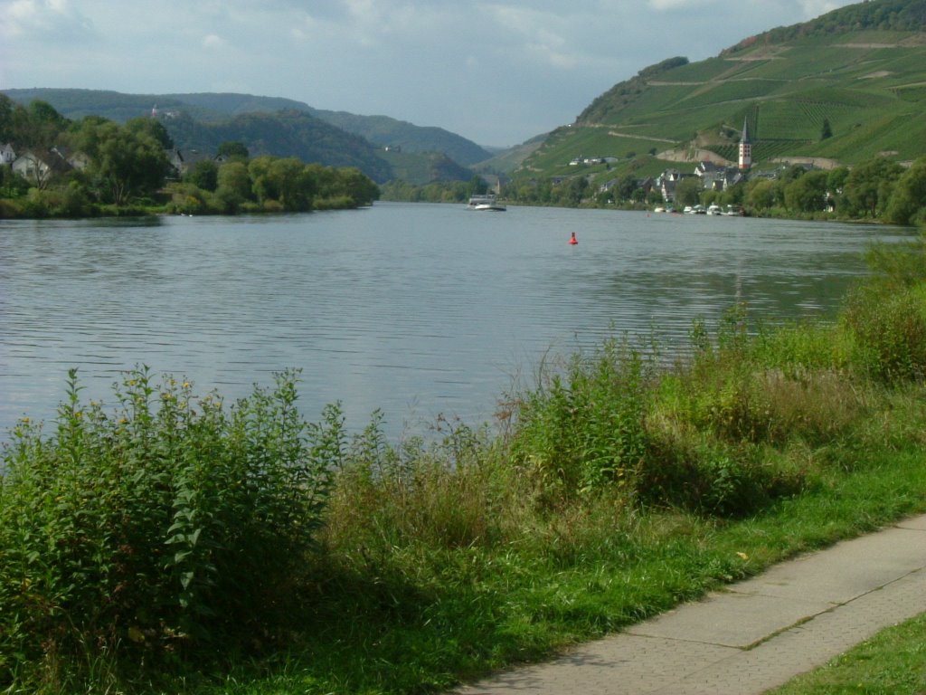 Mosel near Zell by Ciki