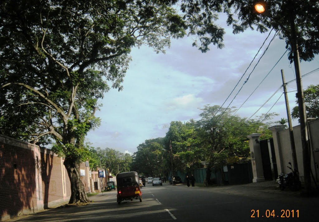 Jawattha Road by Saman Jayawardene