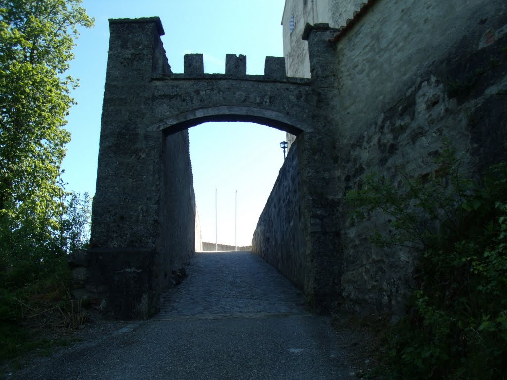 Waldburg Aufgang by Richard Mayer