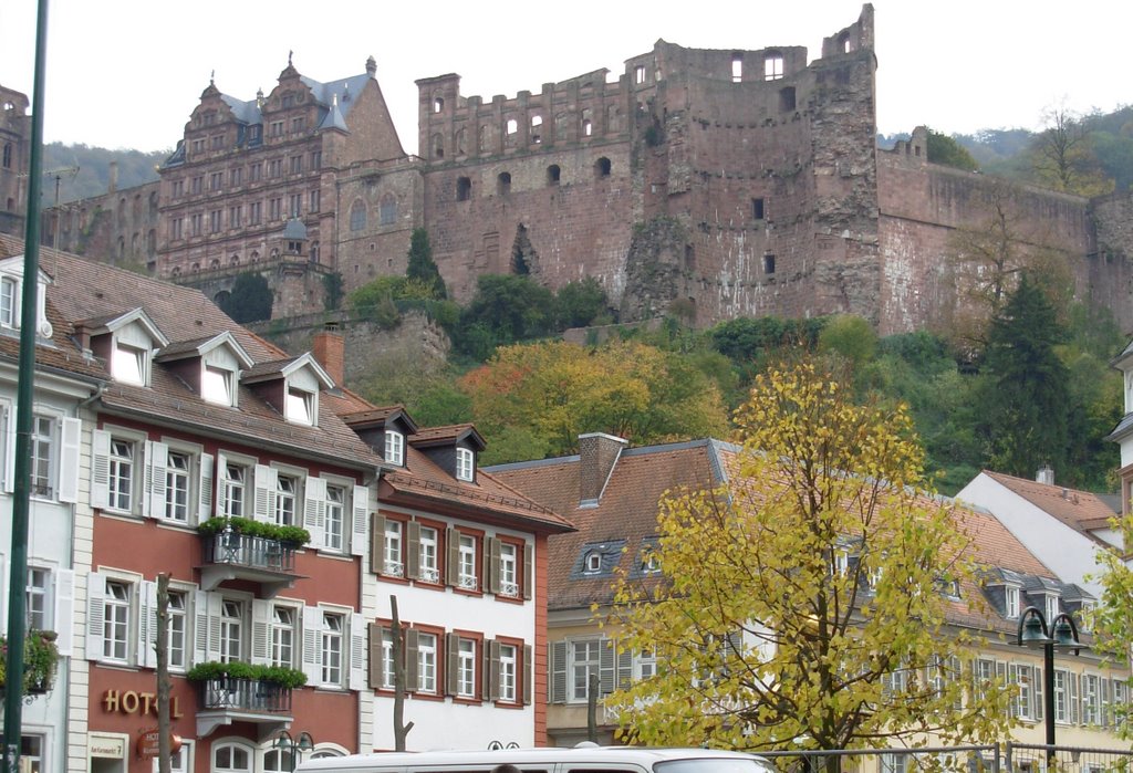 Heidelberg Castle from Kornmarkt by Gazzak