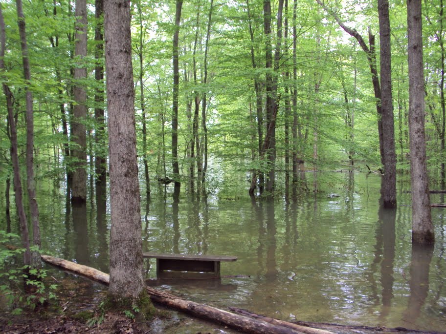 Flooded horse shoe pit at the Zelpo campground water level was about 10 feet from the restroom 05-05-2011 by vnvetlester