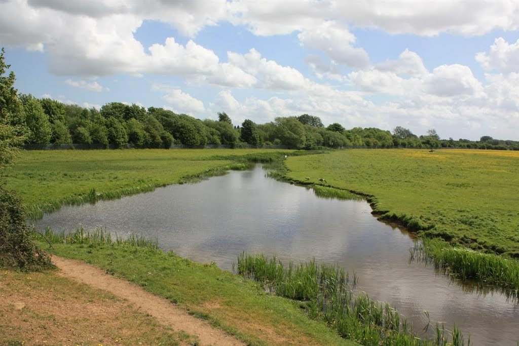 Wolvercote Common by Tony Oldfield