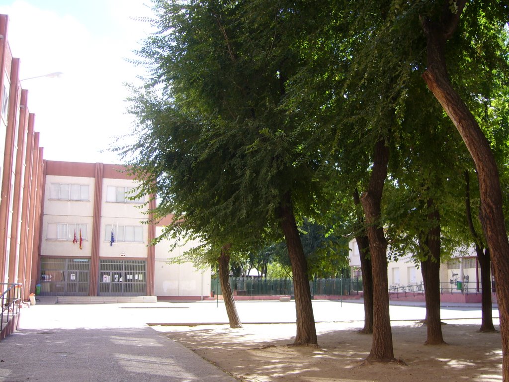 Colegio Público Zulema by Yo Europeo