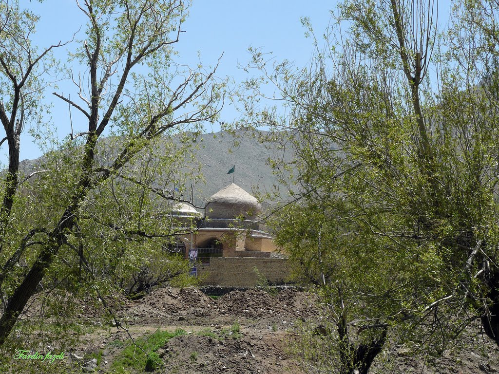 امام زاده محسن (امام زاده کوه) MOUNTAIN SHRINE by fardin fazeli