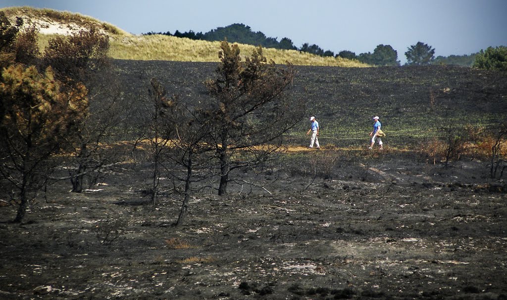 Eight days after the fire persons interested observing the damage done. by Feika