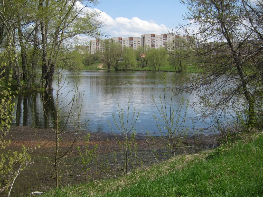 Smirnovsky pond by ecom