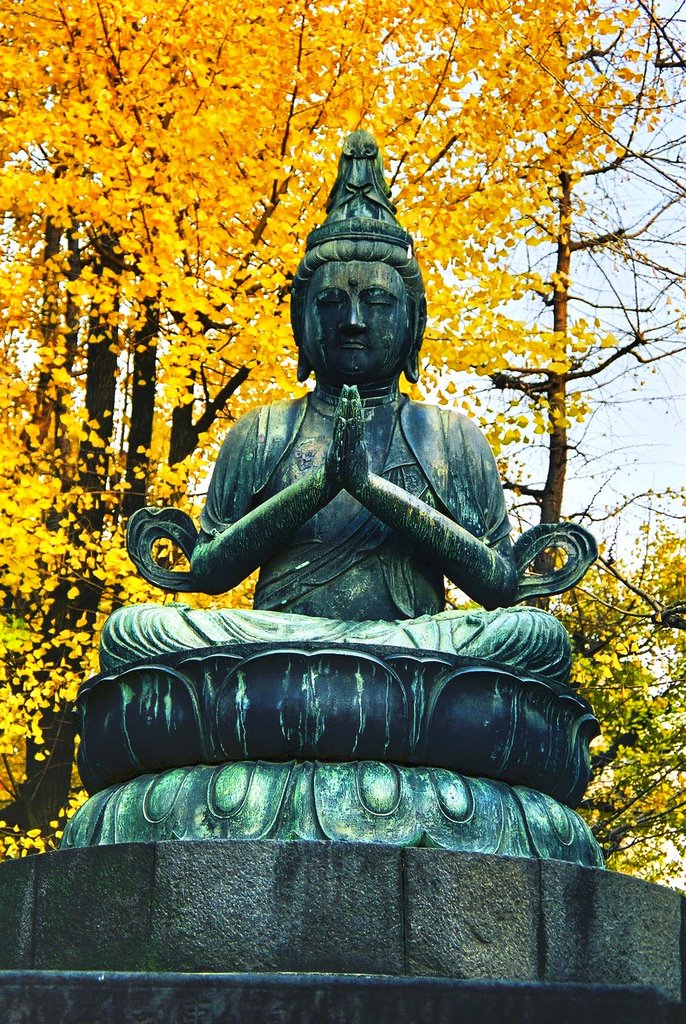 Buddha in Ueno by j. adamson