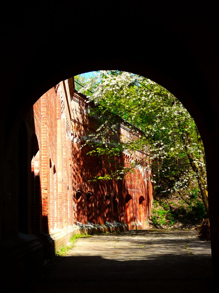 Germany_Brandenburg Country_Oderbruch_Fortress Gorgast_P1200907.JPG by George Charleston