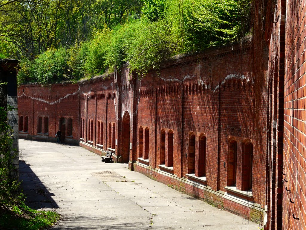 Germany_Brandenburg Country_Oderbruch_Fortress Gorgast_P1200915.JPG by George Charleston