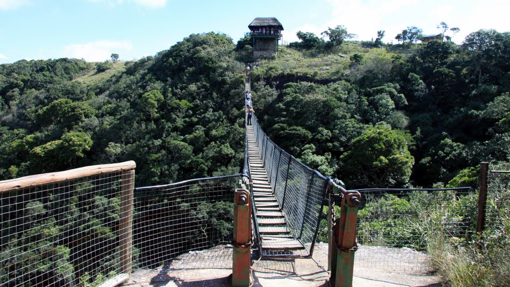 Oribi Gorge Lake Eland Suspension Bridge by John W Roskilly