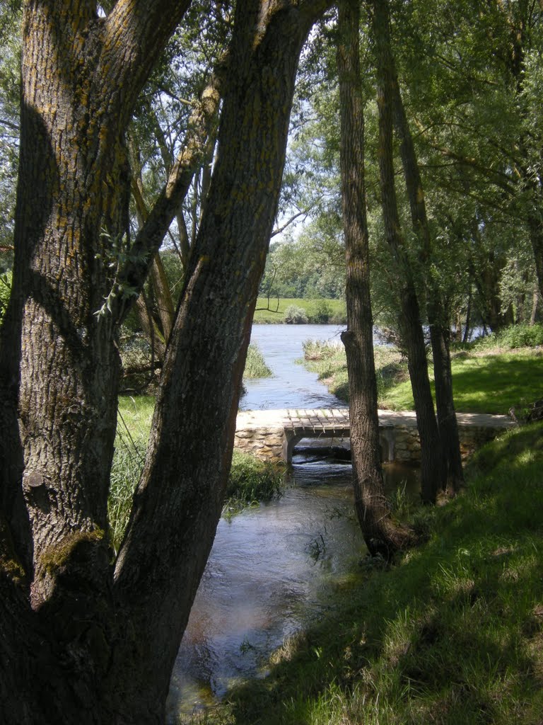 Pouilly sous Charlieu, les bords de Loire by Marc Lacelle