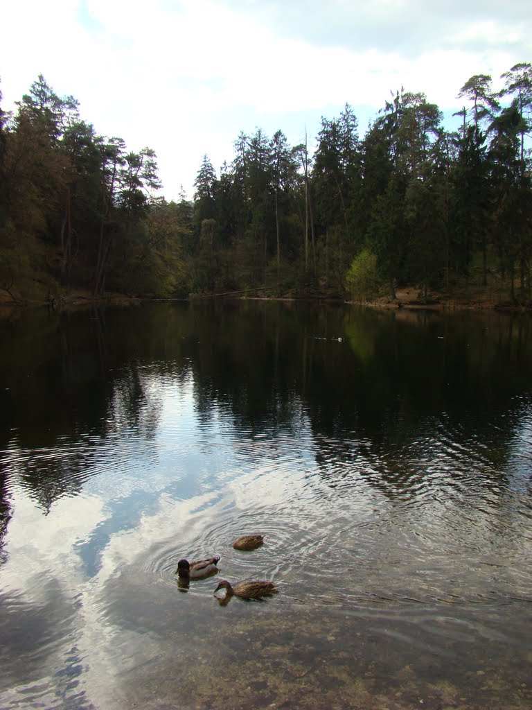 Teutoburger Wald ( Donoper Teich ) April 2011 by DortmundWestfalica