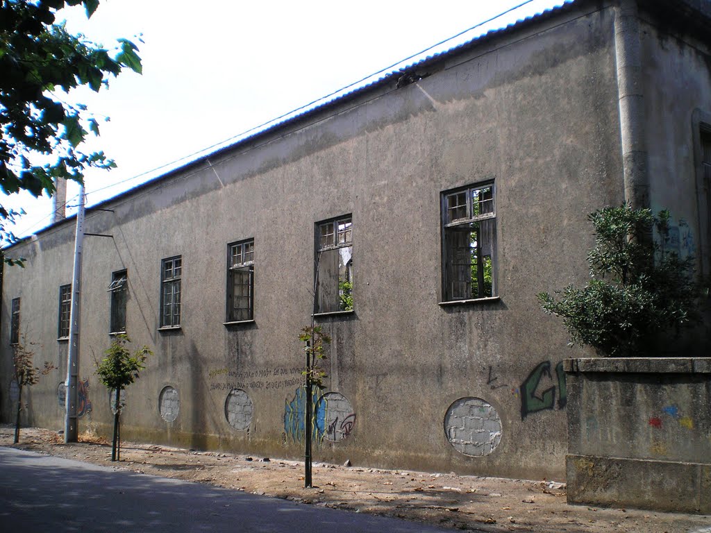 A Granja de outros tempos (Sophia de Mello Breyner) by Margarida Bico