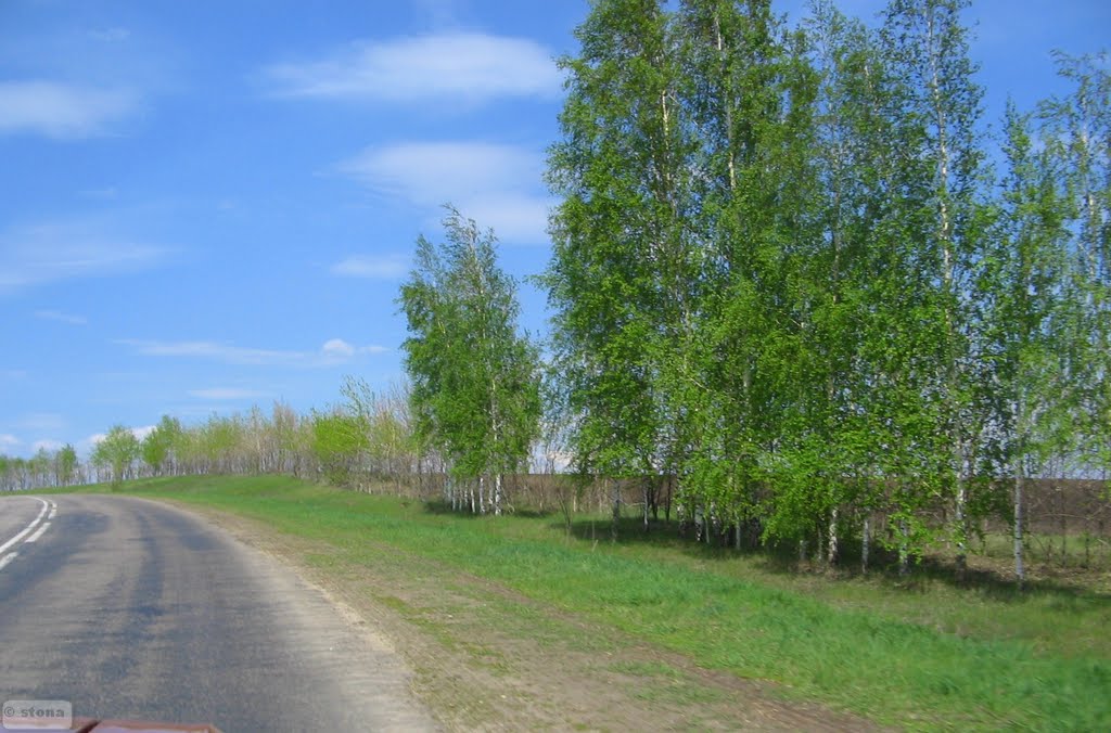 Repevka. Voronezh Region. Russia by STONA